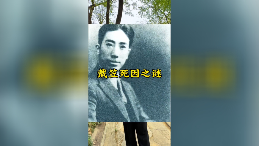 2025年澳门资料正版资料大全,黄金暴跌30元/克,机构预测与落实方法揭秘_户外版V2.59