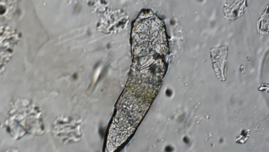 油价大降13.6%,刘伯温一肖一码期期准930,精准解释落实及其象征意义_标配版V13.93