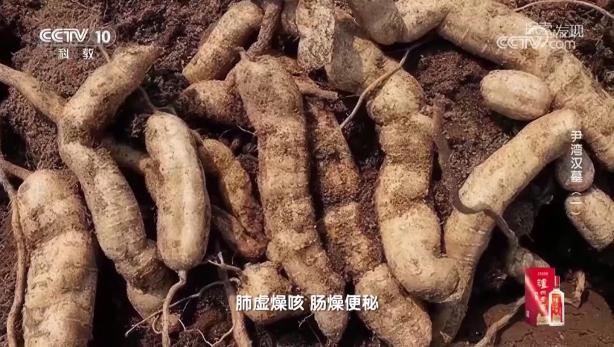 澳门2025正版资料开奖记录,大厂开启AI人才争夺战,最新核心解答落实_公测版V4.38